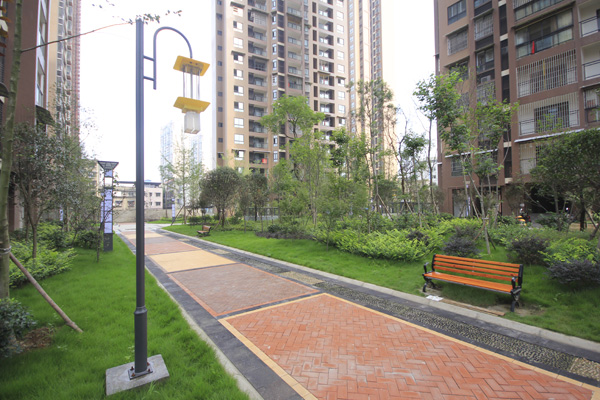陽(yáng)光高地